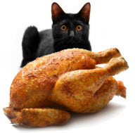 Cat With Chicken