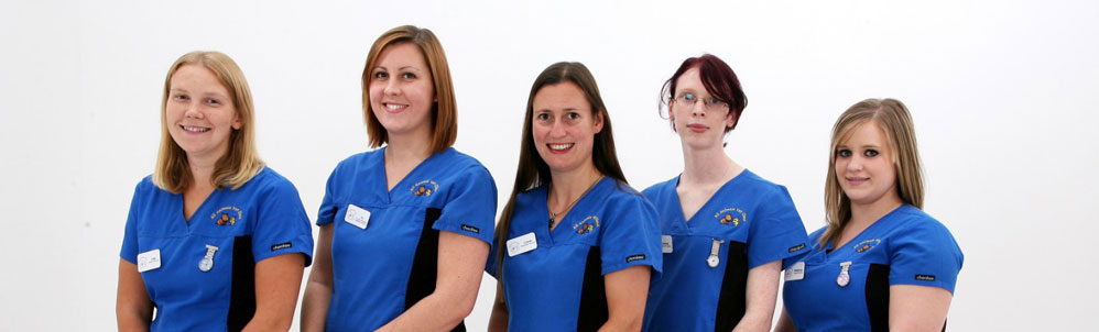 Staff at All Animals