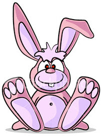 Pink Bunny